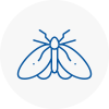Moth Control Specialists In Kirkby