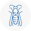 Kirkby Wasp Nest Removal